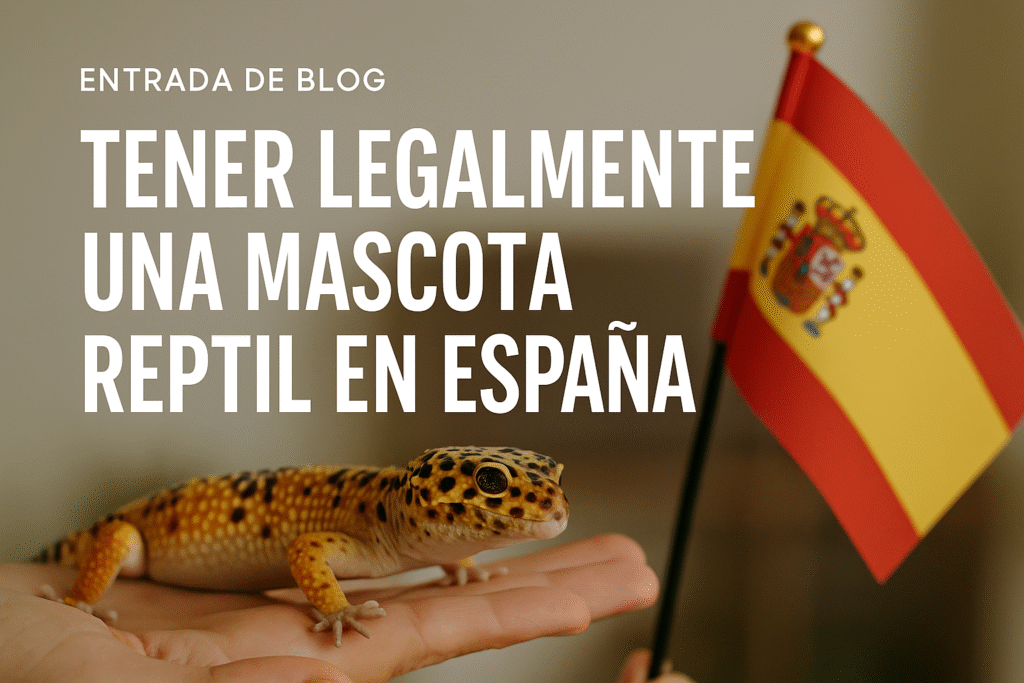 ¿Es legal tener como mascota un gecko leopardo en España?